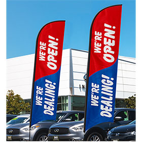 Advertising Flag Front Banner Business Sign Retail Store AUTO Detailing Banner Vinyl Weatherproof 3x10 lb
